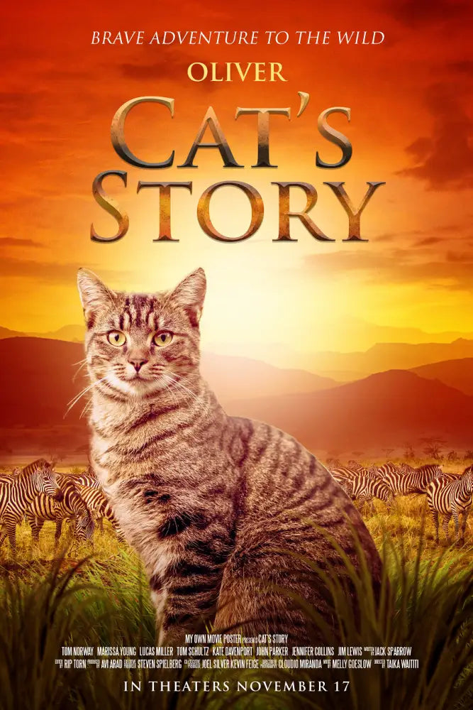 Cat's Story - Movie Poster